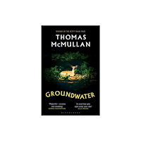Bloomsbury Publishing PLC Groundwater (häftad, eng)