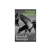 Conduit Books Ltd Animal Nightlife (häftad, eng)