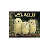 Not Stated Owl Babies Big Book (häftad, eng)