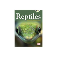Pearson Education Limited BC NF Red (KS2) B/5B Reptiles (häftad, eng)