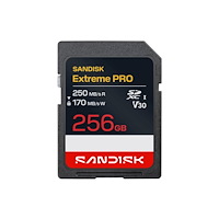 SANDISK SanDisk Extreme PRO