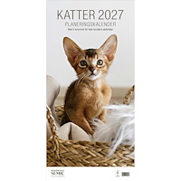 Bokförlaget Semic Katter 2027: planeringskalender : Med 5 kolumner för hela familjens aktiviteter (bok, spiral)