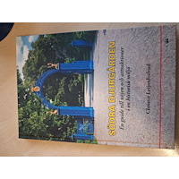 Christer Leijonhufvud Södra Djurgården : en guide till nöjen och attraktioner i en historisk miljö (bok, kartonnage)