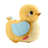 Fisher-Price Fisher-Price Flap & Follow Anka