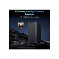 ASUS ASUS ExpertCenter P500MV 13620H178X