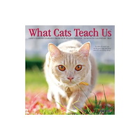 Willow Creek Press What Cats Teach Us 2027 Mini (häftad, eng)