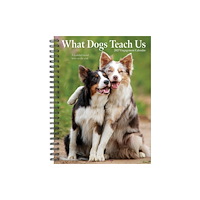 Willow Creek Press What Dogs Teach Us 2027 Engagement (häftad, eng)