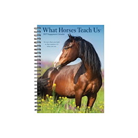 Willow Creek Press What Horses Teach Us 2027 Engagement (häftad, eng)