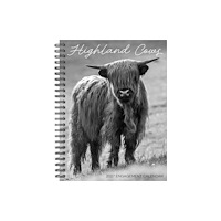 Willow Creek Press Highland Cows 2027 Engagement (häftad, eng)