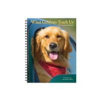 Willow Creek Press What Goldens Teach Us 2027 Engagement (häftad, eng)