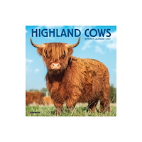 Willow Creek Press Highland Cows 2027 Mini (häftad, eng)