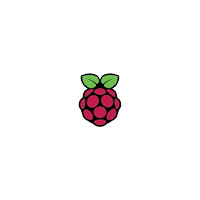 Raspberry Raspberry Pi PI5