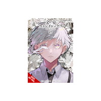 Little, Brown & Company Bungo Stray Dogs, Vol. 27 (häftad, eng)