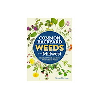 Adventure Publications, Incorporated Common Backyard Weeds of the Midwest (häftad, eng)