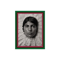 Damiani Pieter Henket: Birds of Mexico City (inbunden, eng)