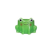 SASS & BELLE Frog Mini Planter