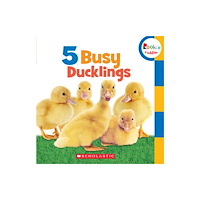 Not Stated 5 Busy Ducklings (Rookie Toddler) (bok, board book, eng)
