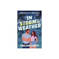 Atria Books In Stormy Weather (häftad, eng)