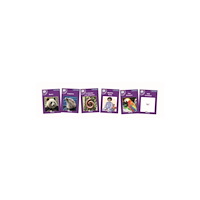 Jolly Learning Ltd Core Purple Non-Fiction Readers (6 books) (häftad, eng)