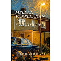 Totta Zetterlund Mellan Växellådan och Evigheten : En natt, en Volvo 142 och början på något som inte går att stoppa (häftad)