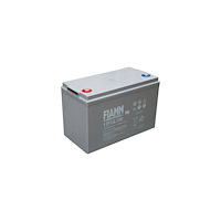 FIAMM FIAMM blybatteri 12V/100Ah Long Life 10 års version med gäng...