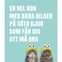 Tukan Förlag En hel bok med bara bilder på söta djur som får dig att må bra (inbunden)