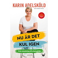 Karin Adelsköld Nu är det kul igen : från utmattning till arbetsglädje (inbunden)