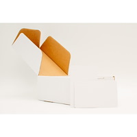 U.S. Games Systems 500 Blank Playing Cards