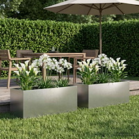 vidaXL Trädgårdsplanterare 2 st Silver 100 x 40 x 40 cm Rostfritt stål