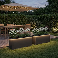 vidaXL Odlingslåda med LED 2 st Svart 30 x 100 x 30 cm Stål