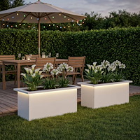 vidaXL Odlingslåda med LED 2 st Vit 30 x 60 x 30 cm Stål