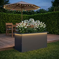 vidaXL Odlingslåda med LED Antracit 40 x 80 x 40 cm Stål