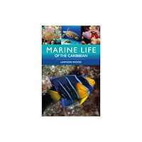 Bloomsbury Publishing PLC Marine Life of the Caribbean (häftad, eng)