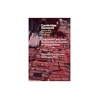 Cambridge University Press Chalcolithic and Early Bronze Age Economies of Mesopotamia (häftad, eng)