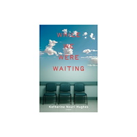 Delphinium Books, Inc While We Were Waiting (inbunden, eng)