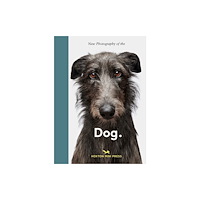 Hoxton Mini Press New Photography of the Dog (inbunden, eng)