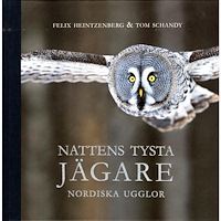 Tom Schandy Nattens tysta jägare : nordiska ugglor (bok, halvklotband) (Skadad)