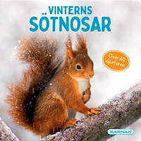 Egmont Story House Vinterns sötnosar (bok, board book)