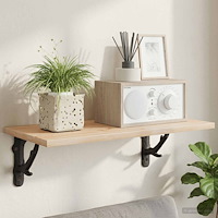 vidaXL Hyllkonsoler 2 st Svart 14 x 14 x 4 cm Stål