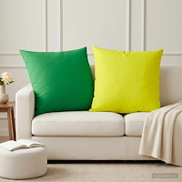 vidaXL Kuddöverdrag 2 st HEERLEN Klart grön. 80 x 80 cm Polyester