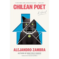 Alejandro Zambra; Translated by Megan McDowell Chilean Poet (häftad, eng)