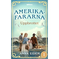 Anna Eidem Uppbrottet (häftad)