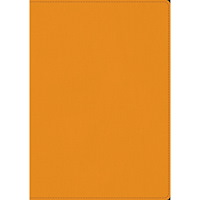 Libris förlag Skrivbok A5 PU linjerad orange (bok)