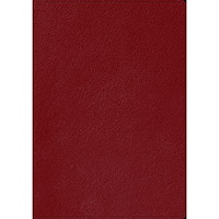 Libris förlag Skrivbok A5 PU linjerad röd (bok)