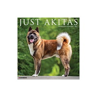 Willow Creek Press Akitas 2027 Wall (häftad, eng)