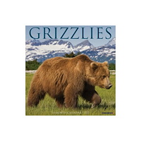 Willow Creek Press Grizzlies 2027 Wall (häftad, eng)