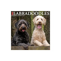 Willow Creek Press Labradoodles 2027 Wall (häftad, eng)