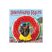 Willow Creek Press Dachshund Rules 2027 Mini (häftad, eng)