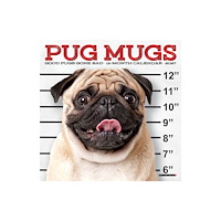 Willow Creek Press Pug Mugs 2027 Mini (häftad, eng)
