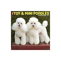Willow Creek Press Toy & Miniature Poodles 2027 Wall (häftad, eng)